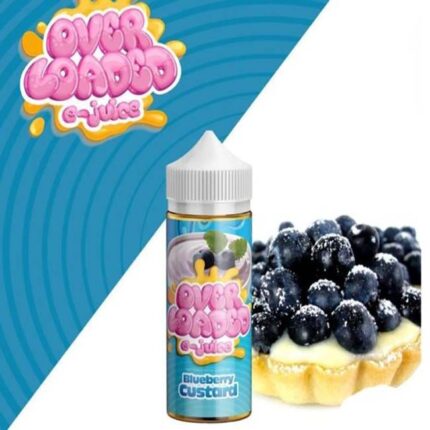 Blueberry-Custard-600x518-1.jpg